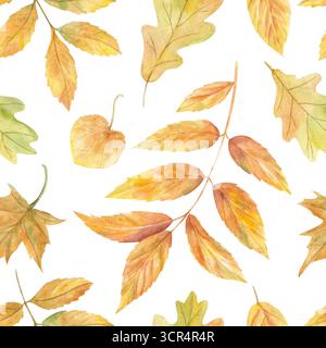 Aquarell Herbst fallende Blätter in orange, gelb, grün nahtlose Muster auf isoliertem Hintergrund. Herbstahorn, Eiche, Ulme, Eschenblatt Illustration. Stockfoto