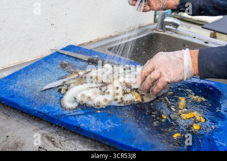 Fischer, die frischen Tintenfisch auf Schneidebrett zubereiten, Fisch und Meeresfrüchte auf dem Fischmarkt verarbeiten, Hände, die rohen Kopffüßer zum Kochen und Verkauf reinigen Stockfoto
