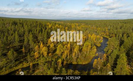 Aus der Vogelperspektive eines sich windenden Flusses, der sich durch einen lebendigen Wandteppich aus immergrünen und goldenen Herbstwäldern schlängelt und den Himmel darüber reflektiert, Saariselkä, Lappland, Finnland. Stockfoto