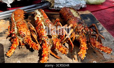 Frisch gekochte Hummer auf einem Holzbrett auf einem Fischmarkt an einem sonnigen Nachmittag Stockfoto