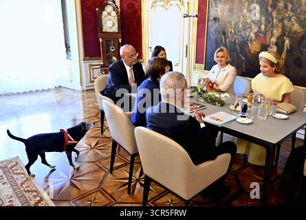 Wien, Österreich. September 2025. Königin Mathilde von Belgien und der österreichische Präsident Alexander Van der Bellen und seine Frau Doris Schmidauer posieren für den Fotografen während eines diplomatischen Treffens in der Wiener Hofburg am Montag, den 29. September 2025. BELGA PHOTO ERIC LALMAND Credit: Belga News Agency/Alamy Live News Stockfoto