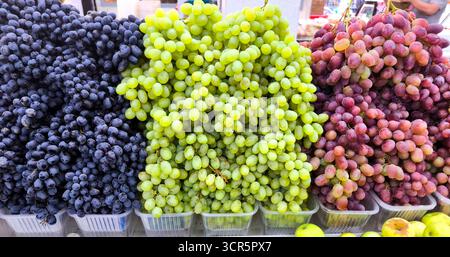 Eine Fülle frischer Trauben auf einem Bauernmarkt. Drei große, dichte Bündel verschiedener Sorten und Farben. Die Beeren sehen saftig und reif aus Stockfoto