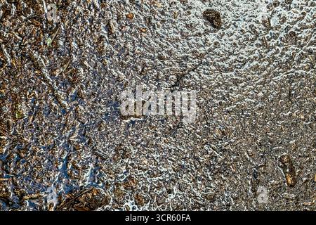 Nahaufnahme von trübem, grungy Überschwemmungswasser erzeugt eine strukturierte Hintergrundplatte Stockfoto