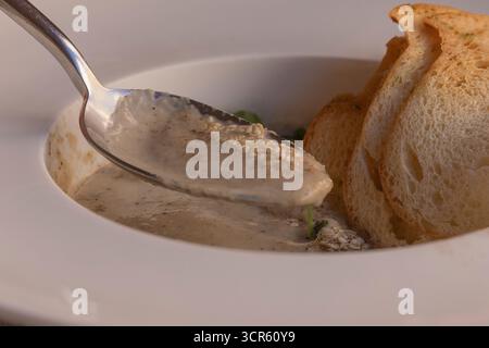 Nahaufnahme einer cremigen Pilzsuppe, serviert mit knusprigen Croutons und Sesamsamen in einer weißen Schüssel auf einer karierten Tischdecke. Konzept von Komfortessen, Ruhe Stockfoto