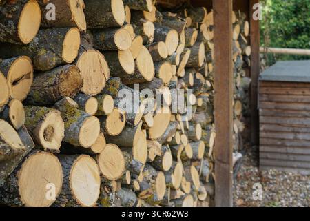 Ordentlich gestapeltes Brennholz in einem Holzregal, vorbereitet für den Wintereinsatz in einem Kamin. Die Baumstämme sind sorgfältig angeordnet und sorgen so für Ordnung. Stockfoto