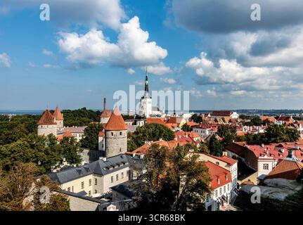 Panoramablick auf die Altstadt von Tallinn, Estland, mit mittelalterlichen Türmen, roten Dächern und dem Turm der St. Olaf-Kirche, der sich gegen einen hellen Sommerhimmel erhebt. Stockfoto