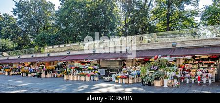 Farbenfrohe Blumenmärkte am Viru Gate in Tallinn, Estland, mit lebhaften Blumensträußen und Arrangements, ein beliebter Ort für Einheimische und Besucher. Stockfoto