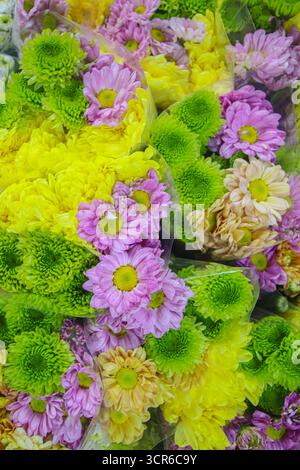 Vertikale Nahaufnahme von Chrysanthemenblüten in verschiedenen Farben, einschließlich weiß, gelb, lila, rosa und grün, ein lebendiger, blumiger abstrakter Look. Stockfoto