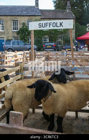 40. Masham Sheep Fair, North Yorkshire, England Stockfoto