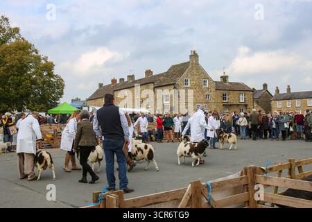 40. Masham Sheep Fair, North Yorkshire, England Stockfoto