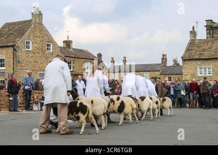 40. Masham Sheep Fair, North Yorkshire, England Stockfoto