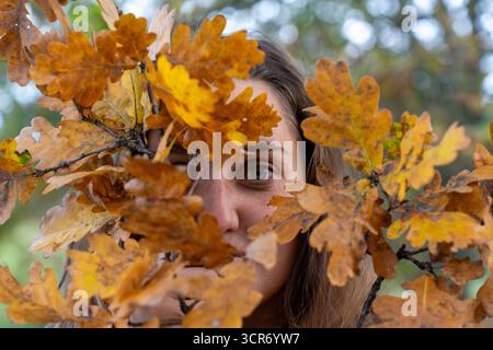 Das Gesicht der jungen Frau blickt durch goldene Herbsteichenblätter mit natürlichem Bokeh-Hintergrund und schafft ein künstlerisches Porträt. Konzept von Herbstschönheit und Konsum Stockfoto