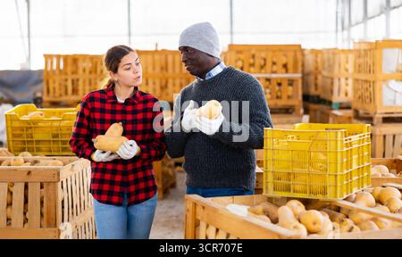 Mann und Frau Bauern reden während des Stapels von Kürbissen Stockfoto