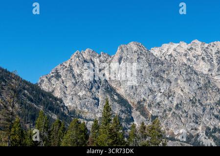 Zerklüftete Gipfel einer Bergkette überragen einen Kiefernwald in einer alpinen Region Stockfoto