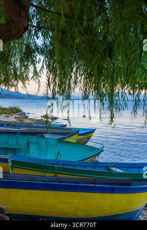 Bunte Holzfischboote legten am Ufer des Lake Ohrid unter Baumzweigen bei Sonnenuntergang in Pogradec, Albanien, an Stockfoto