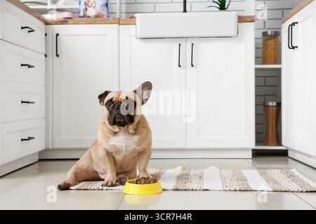 Niedliche französische Bulldogge, die in der Küche neben der Futterschale mit Tierfutter sitzt Stockfoto