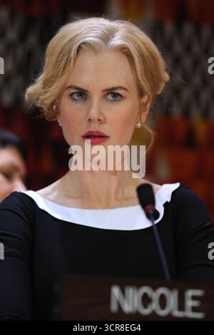Manhattan, Vereinigte Staaten Von Amerika. November 2008. NEW YORK – 22. NOVEMBER: UNIFEM Goodwill Botschafterin der australischen Schauspielerin Nicole Kidman wird auf einer Pressekonferenz die Ergebnisse der Kampagne „Sag Nein zu Gewalt gegen Frauen“, einer internetbasierten Petition, am 25. November 2008 im Hauptquartier der Vereinten Nationen in New York bekanntgeben. UNIFEM ist der Frauenfonds bei den Vereinten Nationen, der die Menschenrechte von Frauen und die Gleichstellung von Frauen in über 100 Ländern fördert. Menschen: Nicole Kidman Credit: Storms Media Group/Alamy Live News Stockfoto