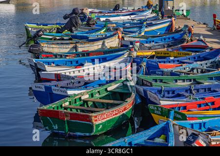Eine dichte Sammlung klassischer, farbenfroher Fischerboote, die in einem Hafen in Setúbal vor Anker liegen. Die leuchtenden Farben der Boote heben sich vom blauen Wasser ab. Stockfoto