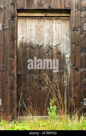 Eine verwitterte Holztür befindet sich in einer dunklen Wand, die von hohem wildem Gras umgeben ist, und schafft eine ruhige Atmosphäre im Freien bei weichem Tageslicht. Stockfoto