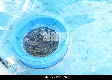 Draufsicht auf den blauen Skimmer zur Reinigung des Pools im klaren Wasser. Reinigungskonzept für kontaminierte Pools. Stockfoto
