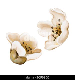 Herbstblumen im Vintage-Stil. Kleine Mischlingknospen. Weiße Blütenblätter. Set aus beigefarbenen Hochzeitsblüten. Aquarellabbildung isoliert vom Stockfoto