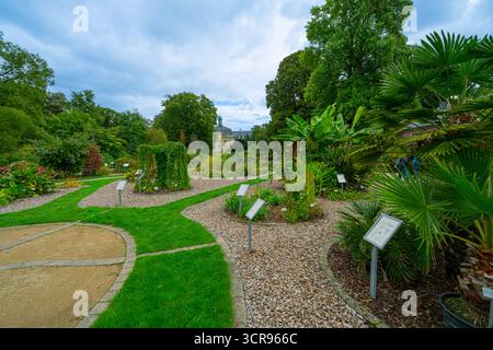 Der Botanische Garten im Schlosspark Münster-Westfalen. Deutschland, Nordrhein-Westfalen, Europa Stockfoto