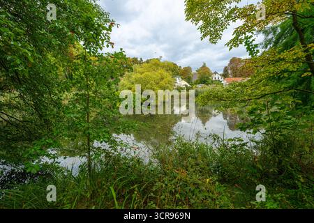 Der Botanische Garten im Schlosspark Münster-Westfalen. Deutschland, Nordrhein-Westfalen, Europa Stockfoto