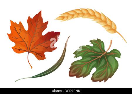 Set aus Trauben- und Ahornblatt mit Weizenohr im Vektor-Cartoon-Stil. Orangefarbenes und grünes Design für die Herbsternte. Toll für Thanksgiving-Karte oder Stock Vektor