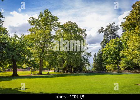 City Park. Panorama von einem wunderschönen Park Stockfoto