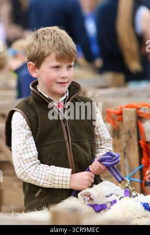 40. Masham Sheep Fair, North Yorkshire 2025 Stockfoto