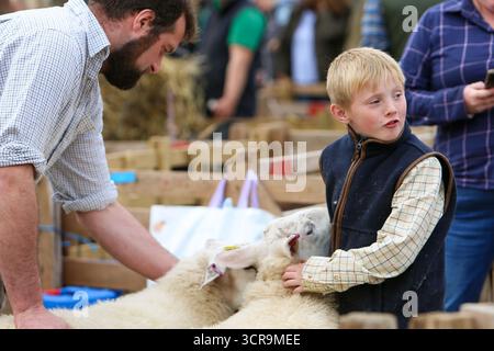 40. Masham Sheep Fair, North Yorkshire 2025 Stockfoto