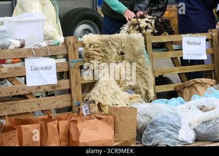 40. Masham Sheep Fair, North Yorkshire 2025 Stockfoto