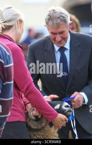 40. Masham Sheep Fair, North Yorkshire 2025 Stockfoto