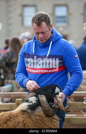 40. Masham Sheep Fair, North Yorkshire 2025 Stockfoto