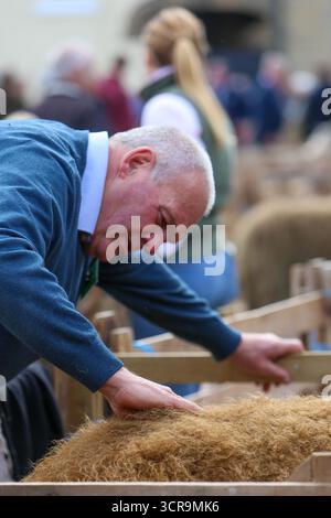 40. Masham Sheep Fair, North Yorkshire 2025 Stockfoto