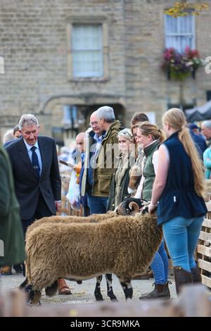 40. Masham Sheep Fair, North Yorkshire 2025 Stockfoto