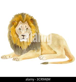 Handgemalte Aquarellillustration eines majestätischen Löwen. Kunstwerke aus Wildtieren mit weichen Texturen und zarten Pinselstrichen. Stockfoto