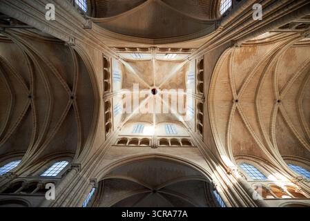Kathedrale von Laon, Nordfrankreich, Hauts-de-France Stockfoto