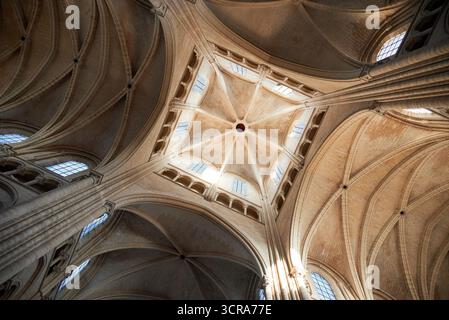 Kathedrale von Laon, Nordfrankreich, Hauts-de-France Stockfoto