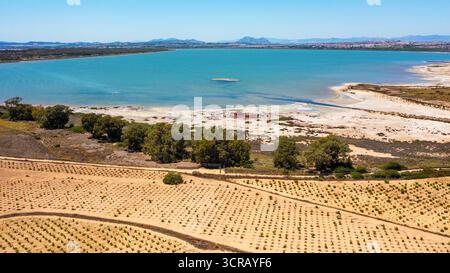 Panoramablick auf die Lagune Salada de la Mata in Torrevieja, Spanien. Junge Weinberge am Seeufer an einem sonnigen Tag Stockfoto