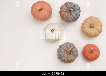 Stillleben im Herbst, saisonale Dekoration. Verschiedene Kürbisgemüse in verschiedenen Farben. Orange, weiß, schwarzer Kürbis isoliert auf weißem Tischhintergrund Stockfoto