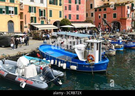 Erhöhter Blick auf den kleinen Hafen des Ferienortes, mit Fischerbooten und typischen bunten Häusern, im Frühling Camogli (Genua), Ligurien, Italien Stockfoto