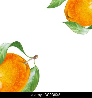 Ein quadratischer Rahmen aus Aquarell mit saftigen Früchten, die von Hand bemalt wurden. Ganze saftige Orangen und schöne grüne Blätter. Eine botanische Vorlage mit Stockfoto
