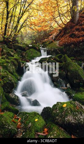 Wasserfall zwischen Felsen voller Moos und Bäumen mit Blättern in Herbstfarben in Serra da Estrela in Portugal. Stockfoto