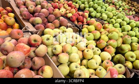 Viele frische Äpfel verschiedener Sorten auf dem saisonalen Markt Stockfoto