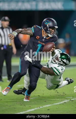 Miami Gardens, Florida USA; Miami Dolphins Quarterback Tua Tagovailoa (1) scheut und vermeidet den Angriff von New York Jets Defensivende Micheal Clemons (72) im dritten Quartal während eines Montagabend-Spiels gegen die New York Jets am 29. September 2025 im Hard Rock Stadium. Die Delfine besiegten die Jets 27-21. (Kim Hukari/Bild des Sports) Stockfoto