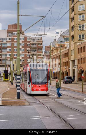 Mann überquert vor einer wartenden Straßenbahn in Scheveningen Stockfoto