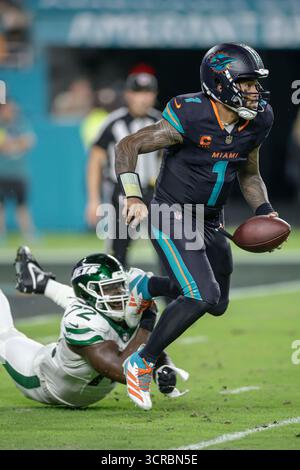 Miami Gardens, Florida, USA. September 2025. Der Miami Dolphins Quarterback Tua Tagovailoa (1) kämpft und vermeidet den Angriff von New York Jets Defensive End Micheal Clemons (72) im dritten Quartal während eines Montagabend NFL-Spiels gegen die New York Jets am 29. September 2025 im Hard Rock Stadium. Die Delfine besiegten die Jets 27-21. (Kreditbild: © Kim Hukari/ZUMA Press Wire) NUR REDAKTIONELLE VERWENDUNG! Nicht für kommerzielle ZWECKE! Stockfoto