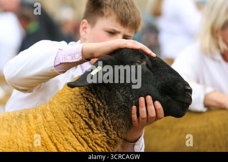 40. Masham Sheep Fair, Masham, North Yorkshire, England Stockfoto