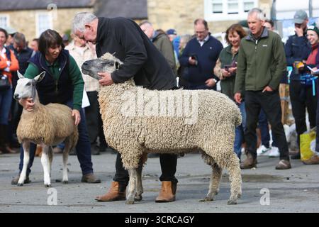 40. Masham Sheep Fair, Masham, North Yorkshire, England Stockfoto